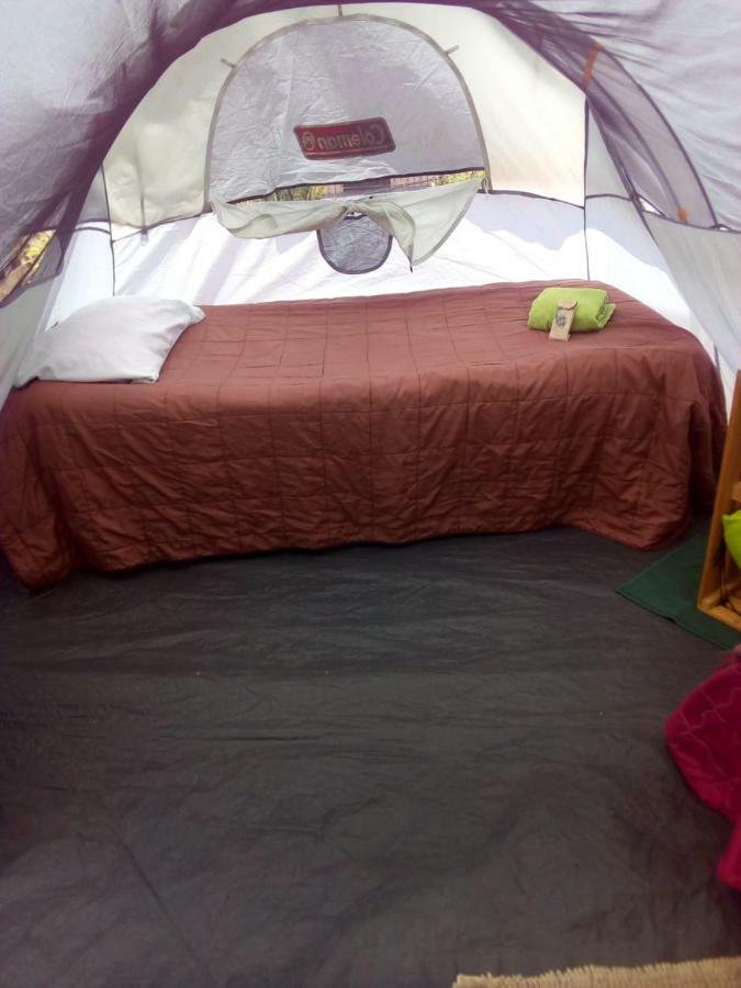 Camping & Travel Antigua Luaran gambar